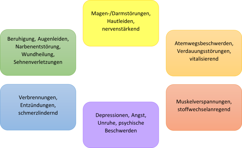 Fellnasen Werkstatt - Tierheilpraxis Hormesis