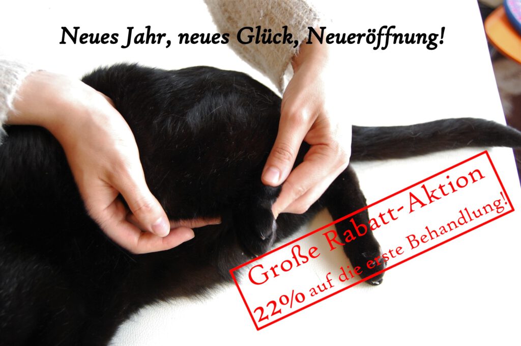 Fellnasen Neues Jahr, neues Glück, Neueröffnung